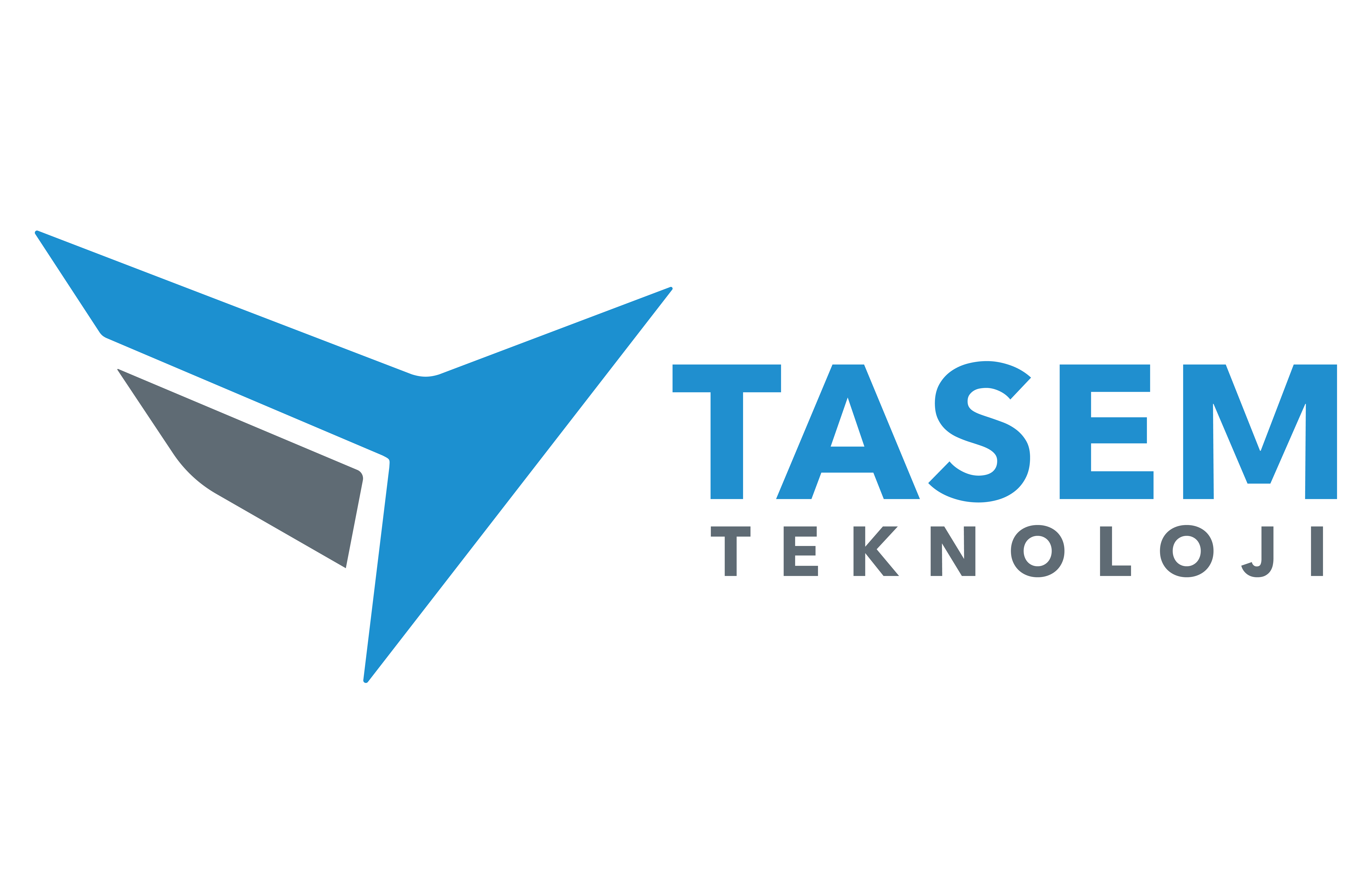 TASEM Teknoloji Logo